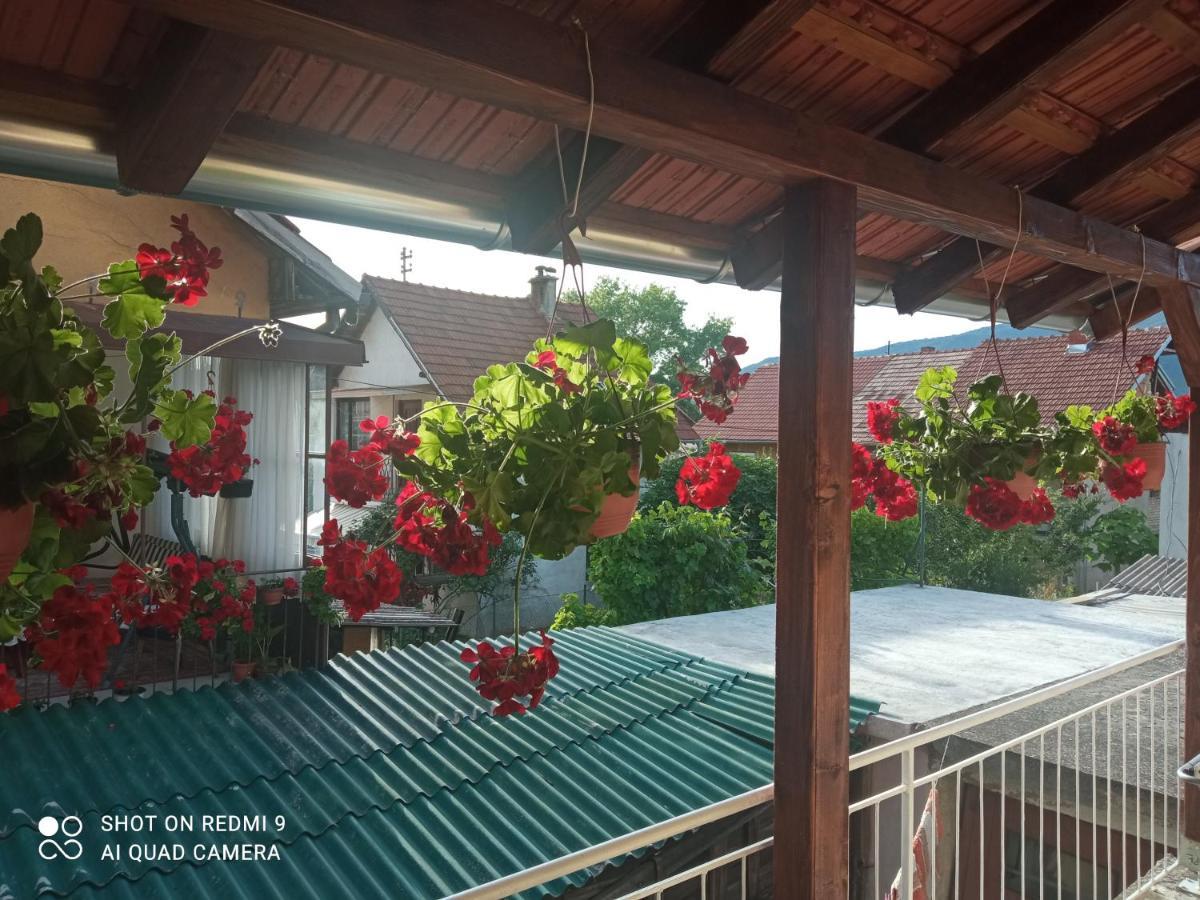 דונג'י מלינובאץ' Apartman ,,Milica" מראה חיצוני תמונה